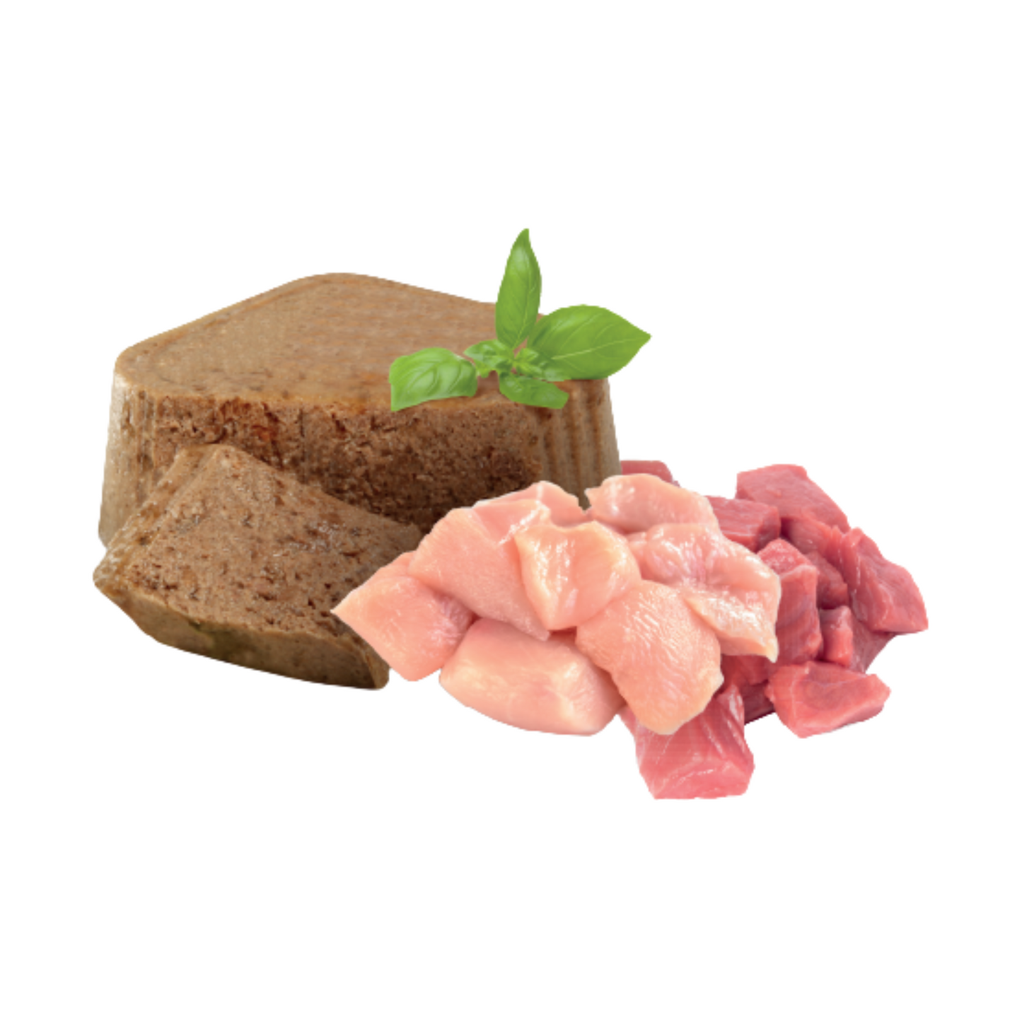 Cluster felino kitten wet (x1)