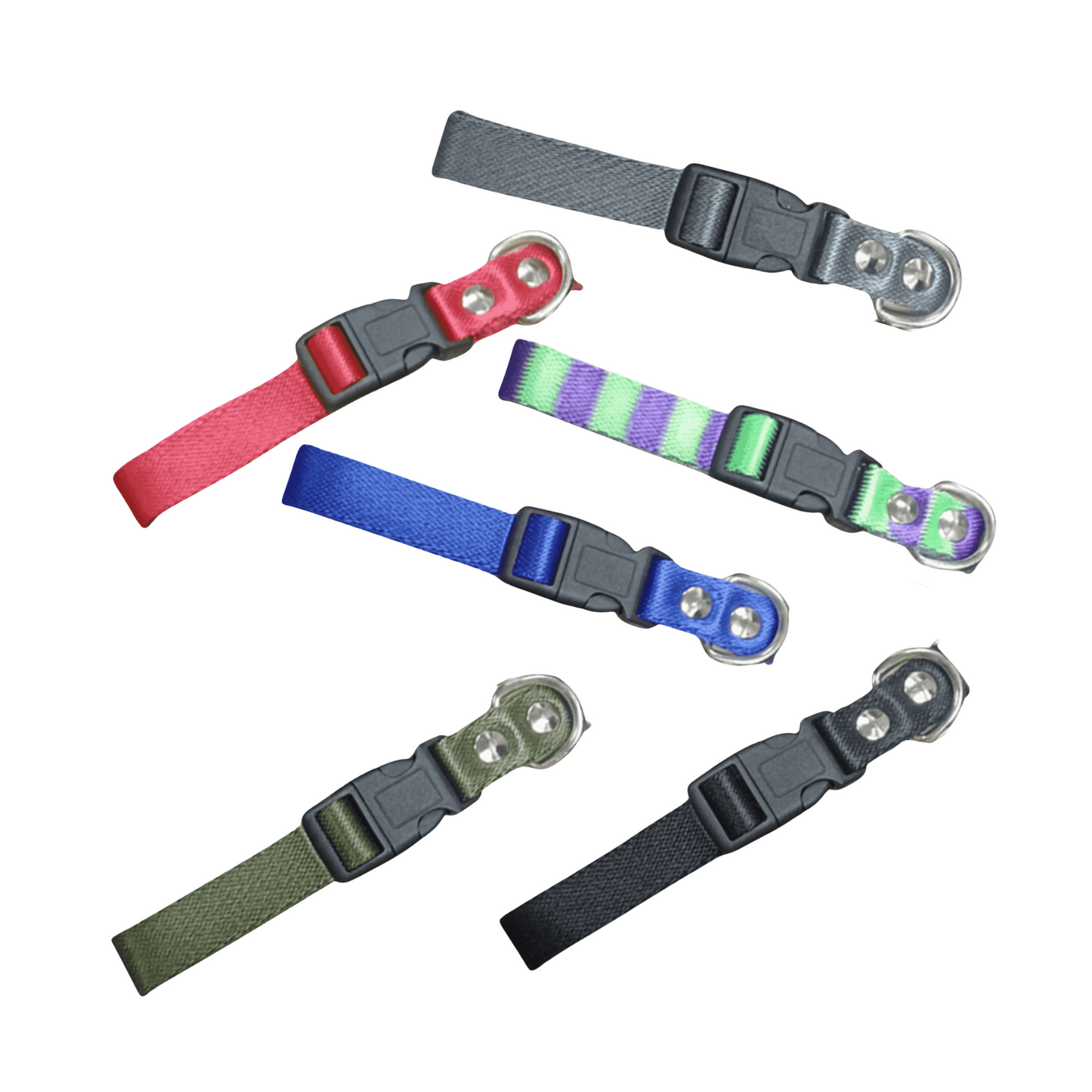 Collar blister liso