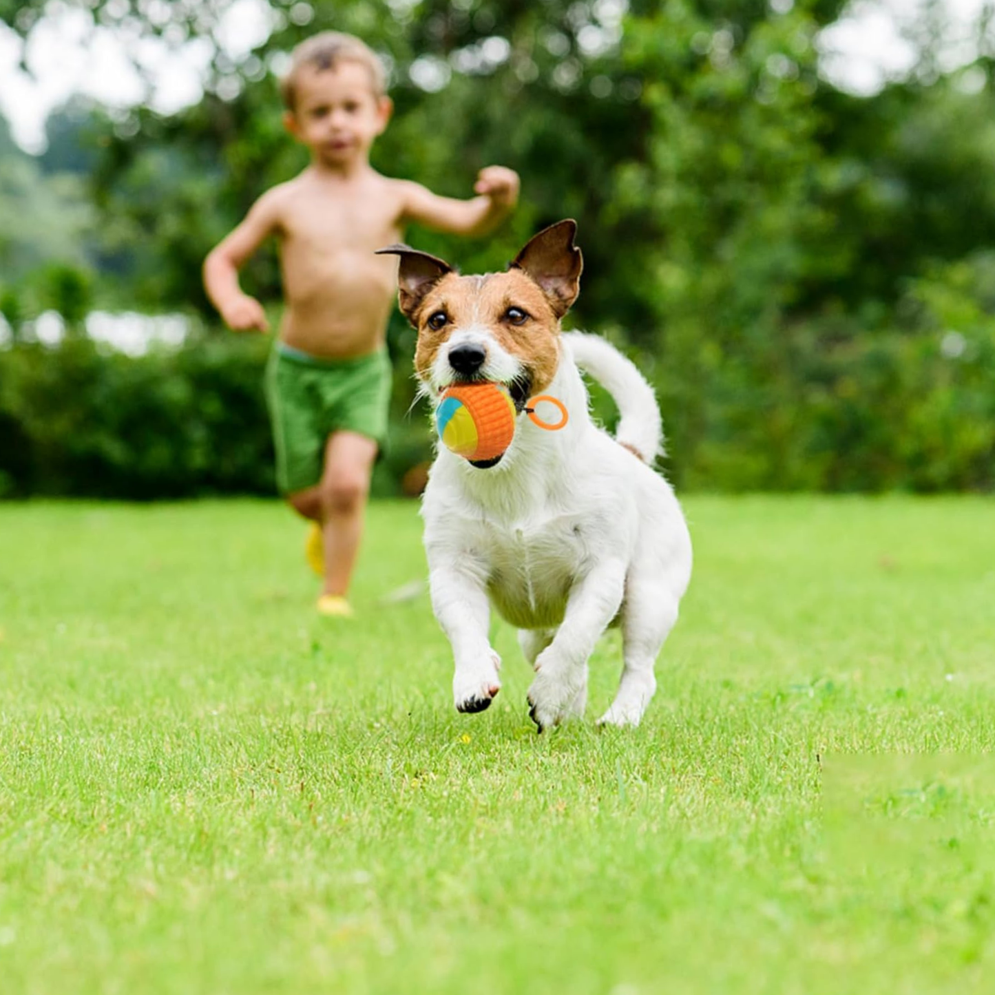 Pelota yoyó