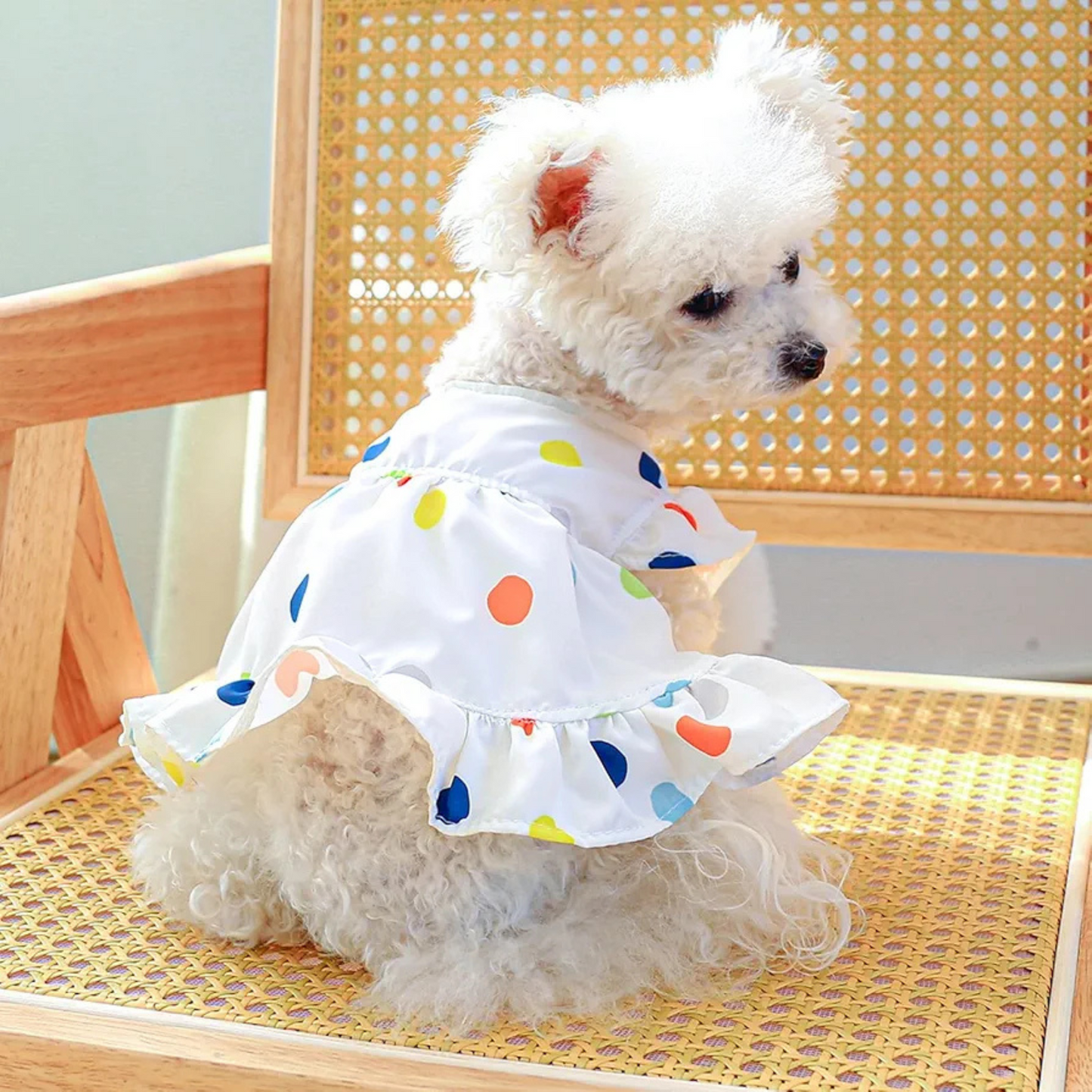 Vestido polka dots multicolor