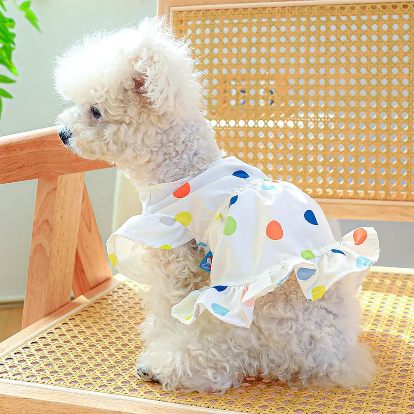 Vestido polka dots multicolor