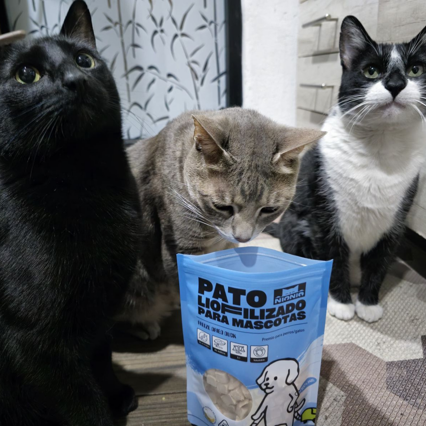 NIONIO Cubitos de pato liofilizados