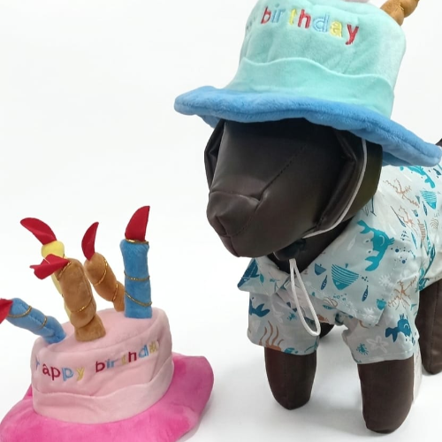sombrero de pastel de cumpleaños