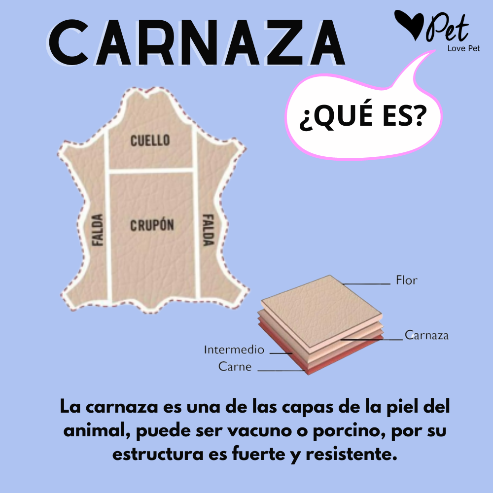 Carnaza de tuétano sabor tocino