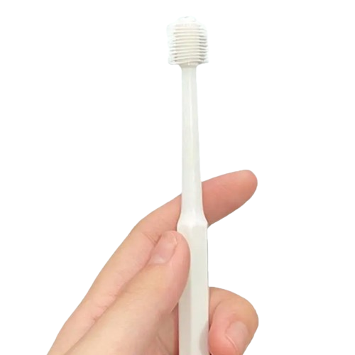 Cepillo dental 360°