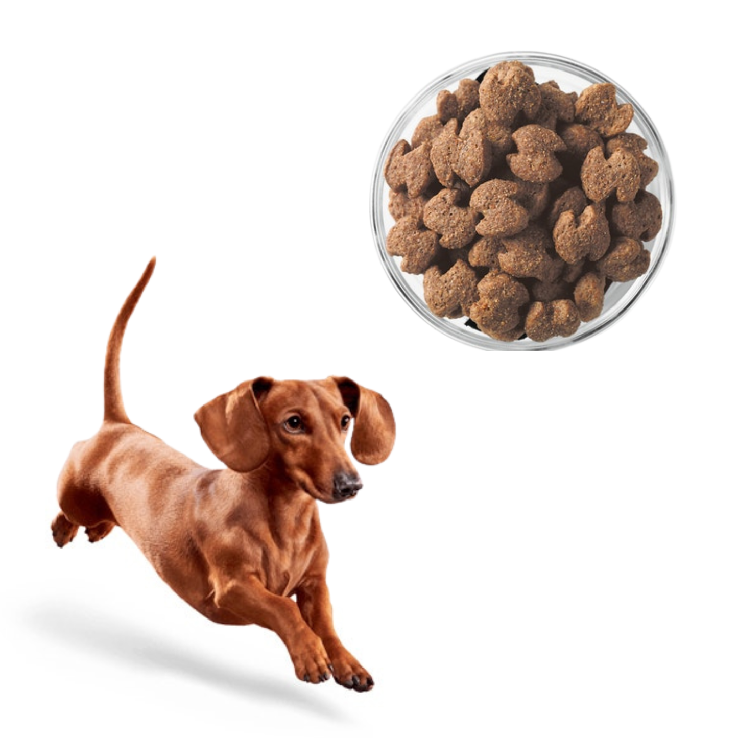 Eukanuba control de peso para perro adulto razas pequeñas