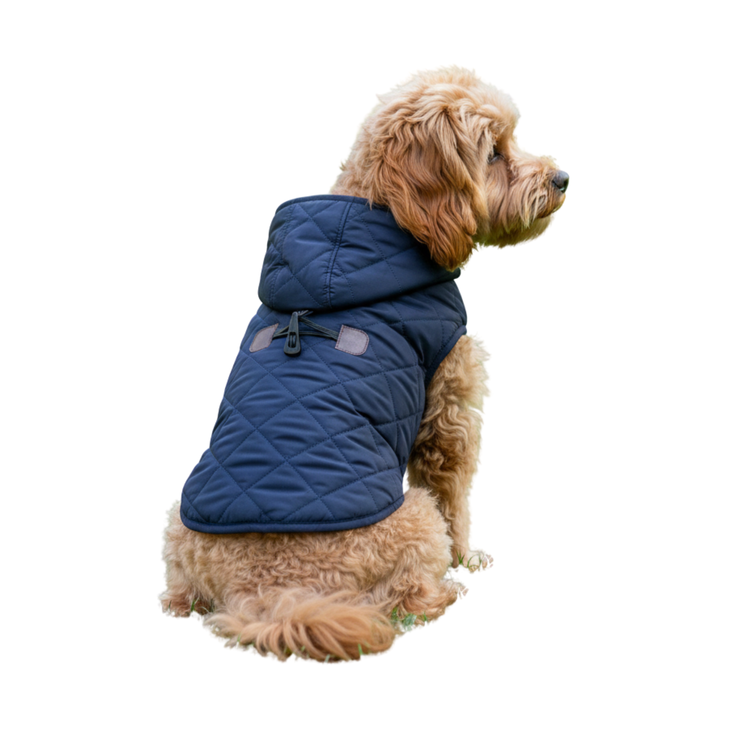 Chaleco capitonado con gorro