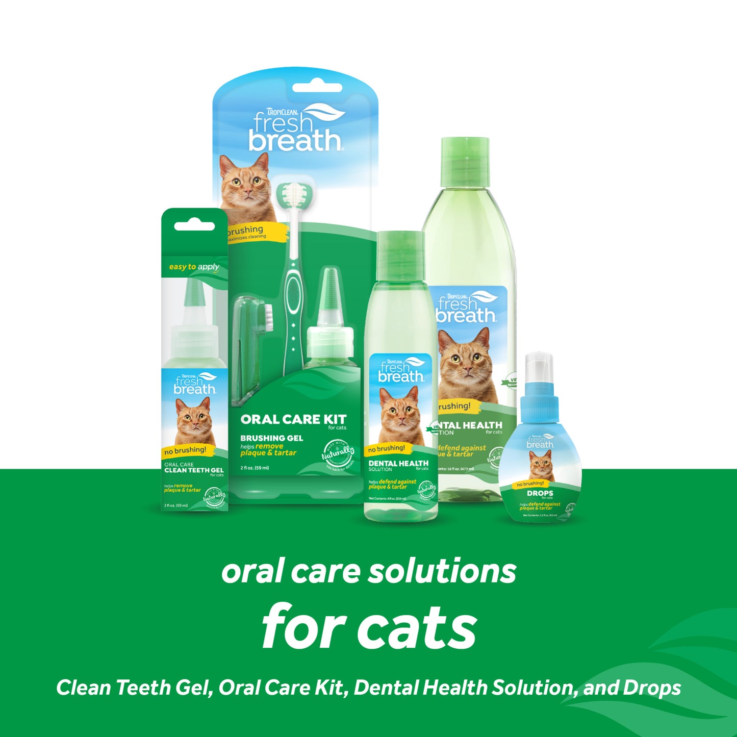 Solución dental aliento fresco para gatos