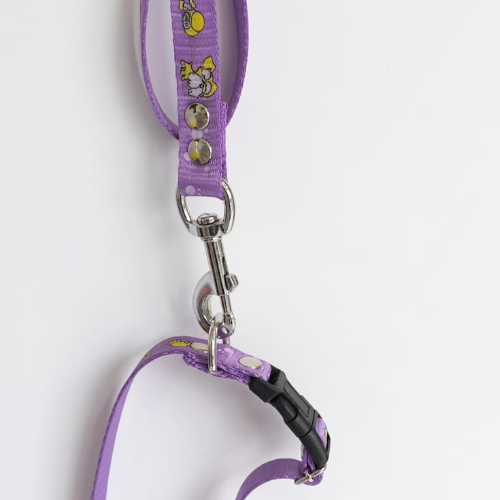 Correa con collar estampado de perro y plato