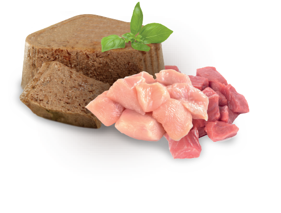 Cluster senior wet (x1)