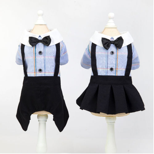 Traje escolar elegante