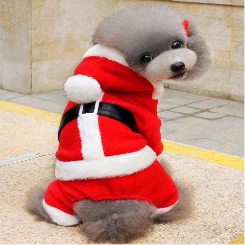 Traje de Santa Claus con cinturón