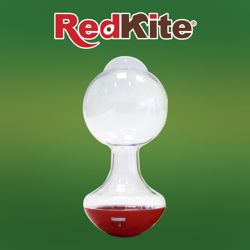 Bebedero sencillo para colibrí