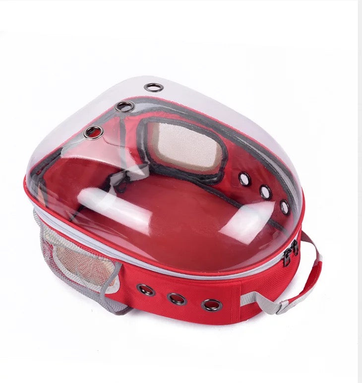 Mochila transparente