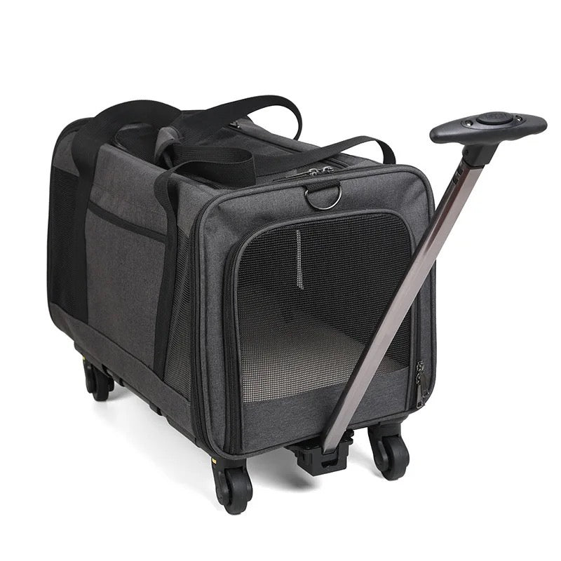 Transportadora con llantas