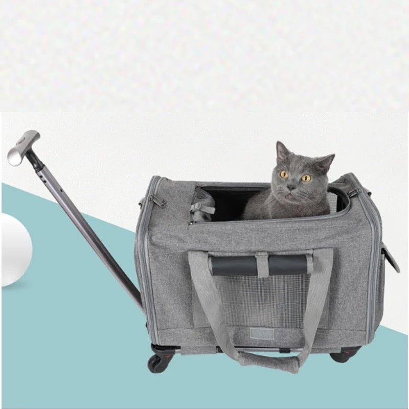 Transportadora con llantas