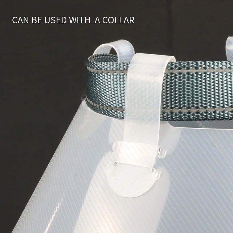 Collar isabelino de plástico armable