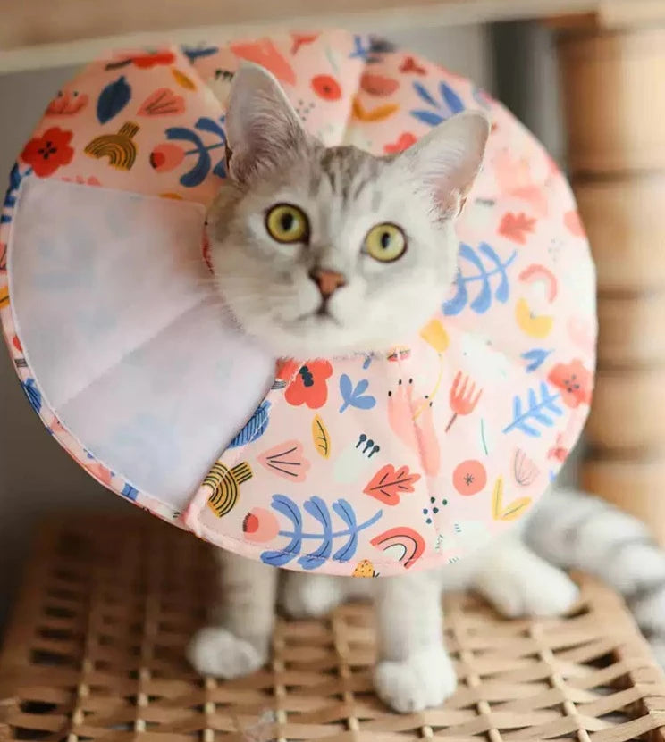 Collar isabelino de tela