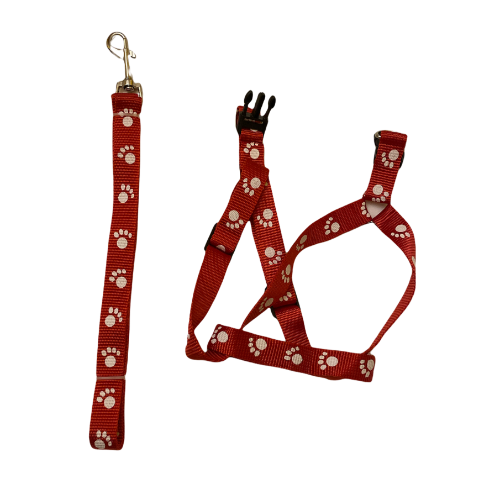Arnés con correa estampado de huellas