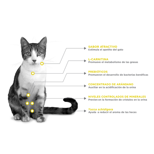 Nupec Felino Urinary Management