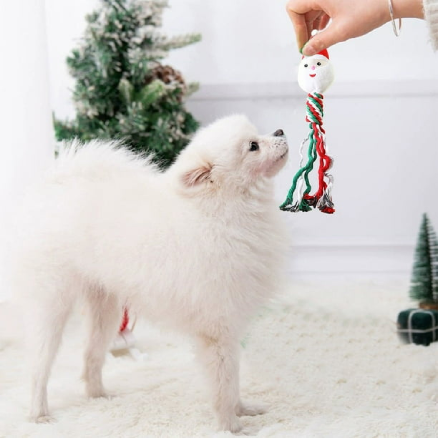 Papá Noel con cordones