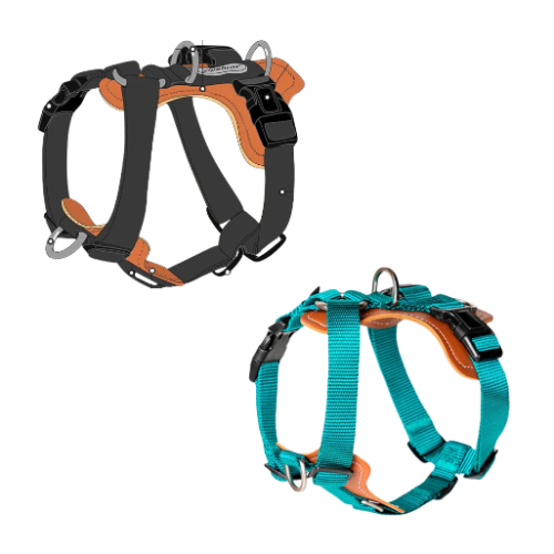 Arnés anti-tirones con cuero sintético