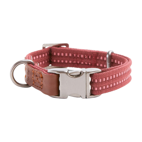 Reddy Collar diseño reforzado con broche metálico