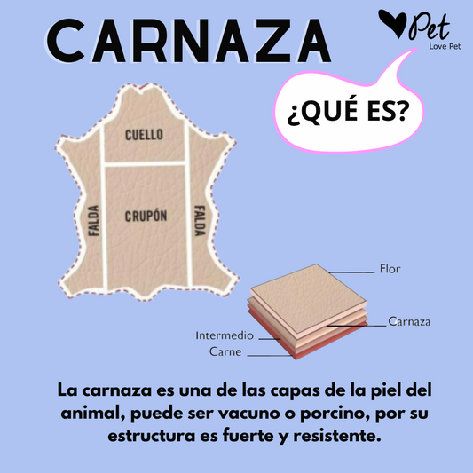 Hueso de carnaza sabor res
