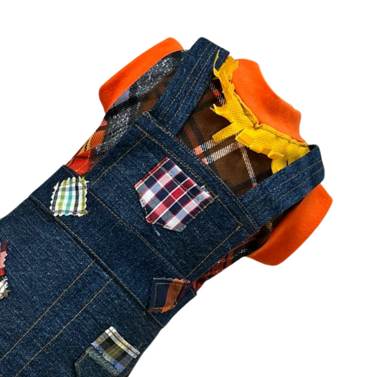 Disfraz de espantapájaros