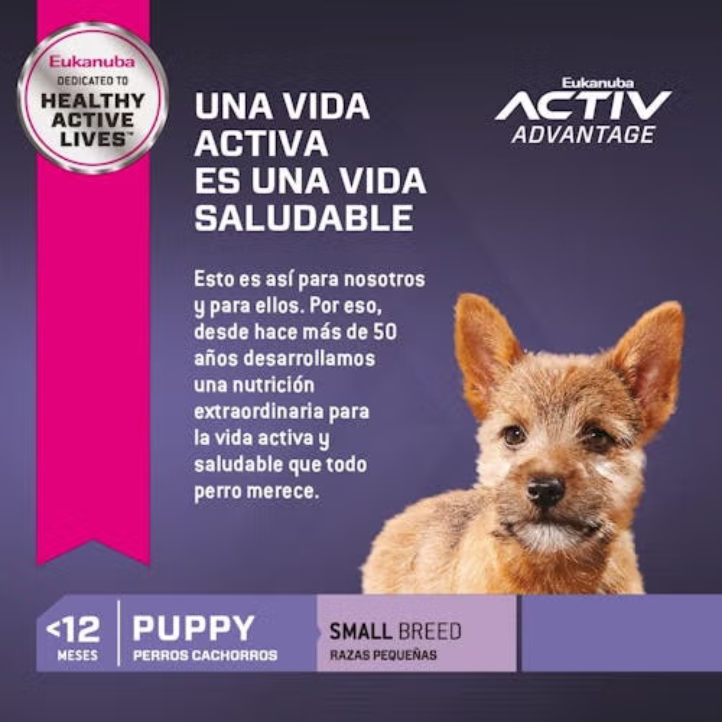 Eukanuba alimento para cachorro razas pequeñas