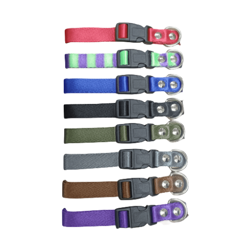 Collar blister liso