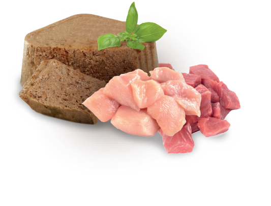 Cluster senior wet (x1)