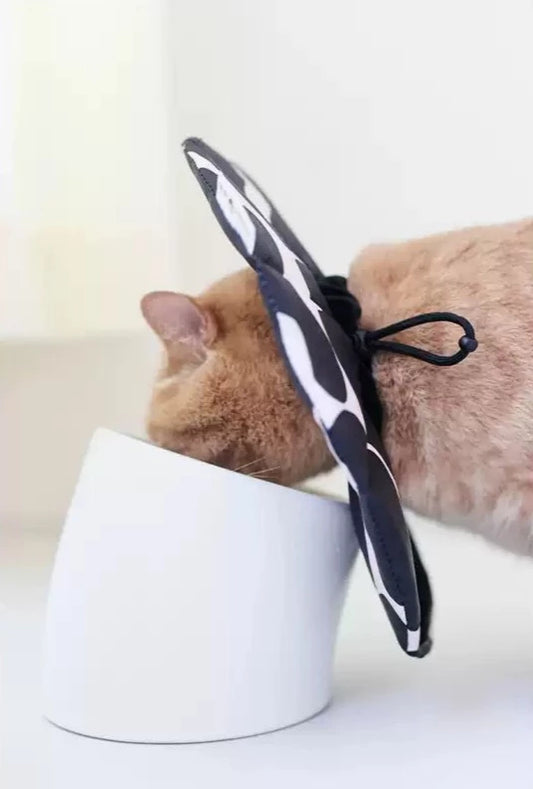 Collar isabelino de tela